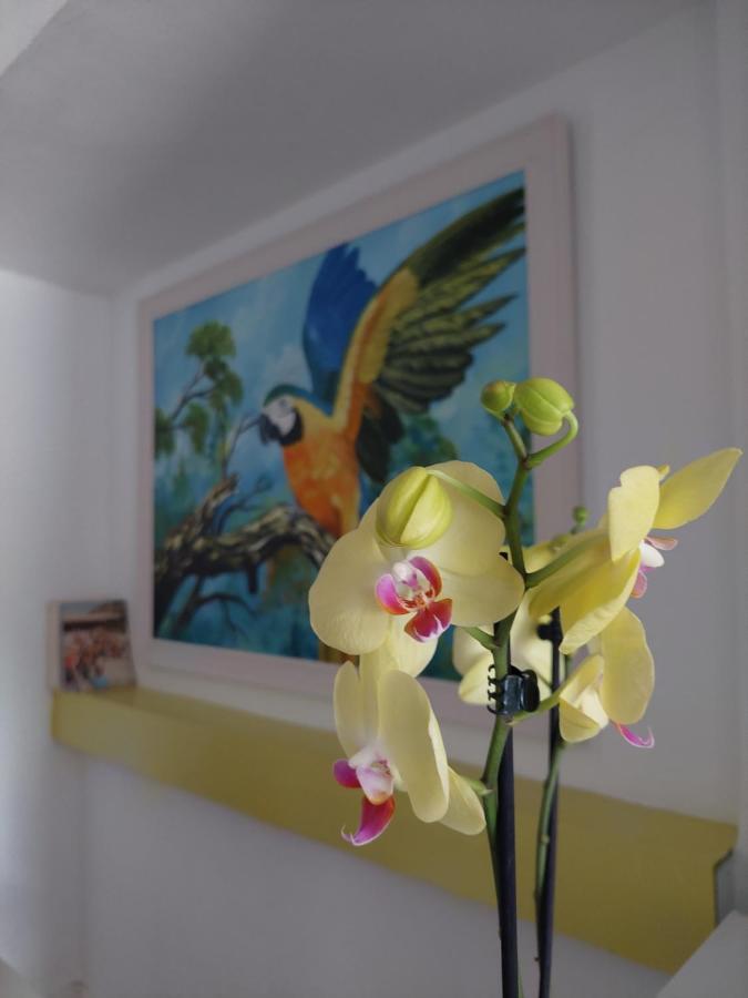 Lisbon'S Best At Campo Pequeno Hotell Eksteriør bilde
